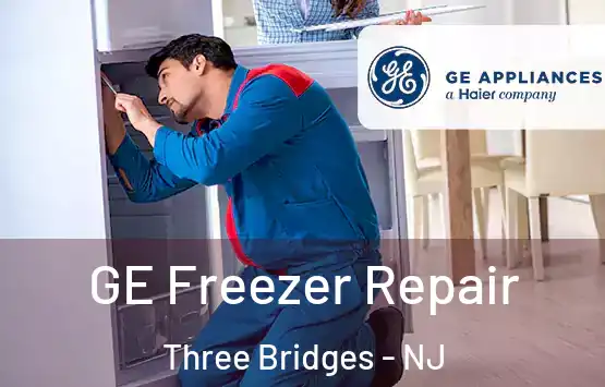  GE Freezer Repair Three Bridges - NJ