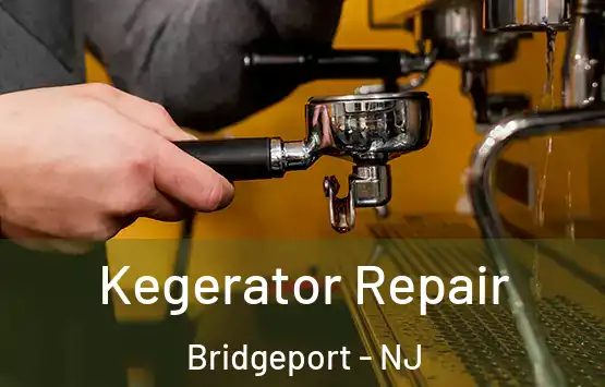  Kegerator Repair Bridgeport - NJ