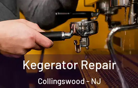  Kegerator Repair Collingswood - NJ