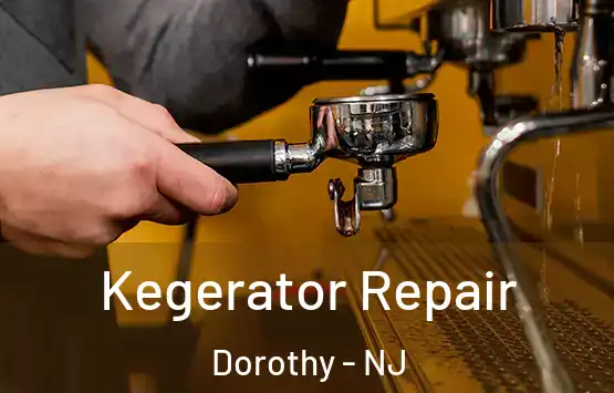  Kegerator Repair Dorothy - NJ