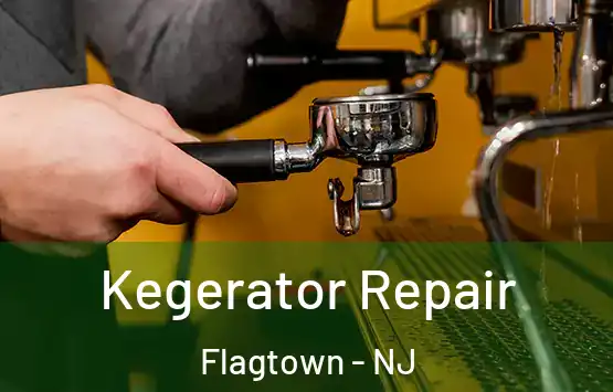  Kegerator Repair Flagtown - NJ