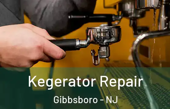  Kegerator Repair Gibbsboro - NJ