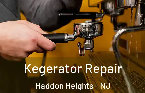  Kegerator Repair Haddon Heights - NJ