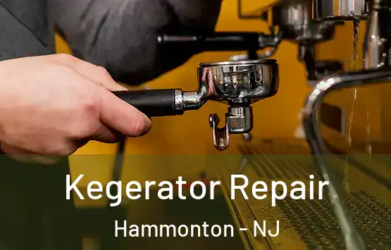  Kegerator Repair Hammonton - NJ