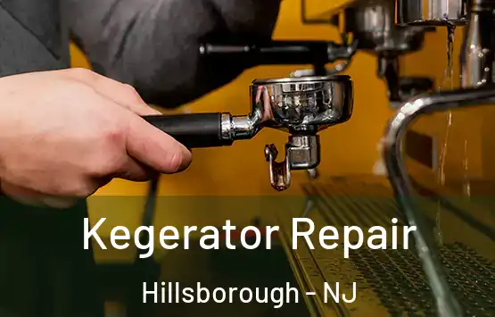  Kegerator Repair Hillsborough - NJ