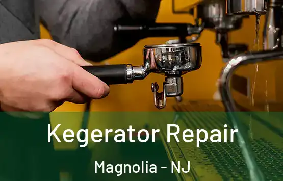  Kegerator Repair Magnolia - NJ