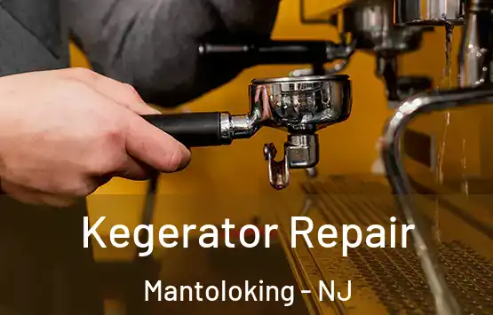  Kegerator Repair Mantoloking - NJ