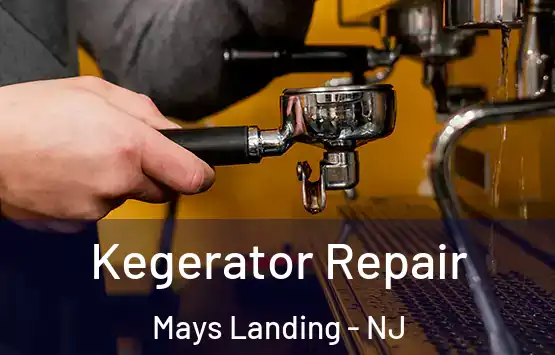  Kegerator Repair Mays Landing - NJ