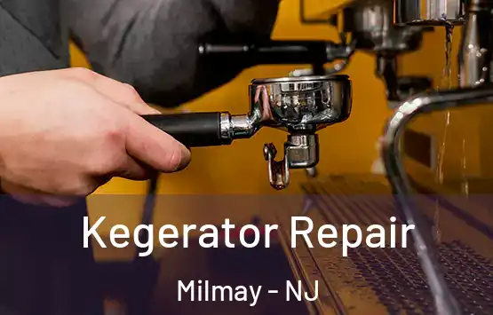  Kegerator Repair Milmay - NJ