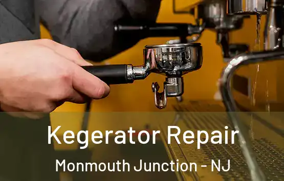  Kegerator Repair Monmouth Junction - NJ