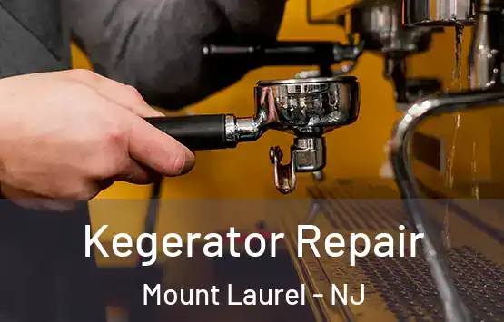  Kegerator Repair Mount Laurel - NJ