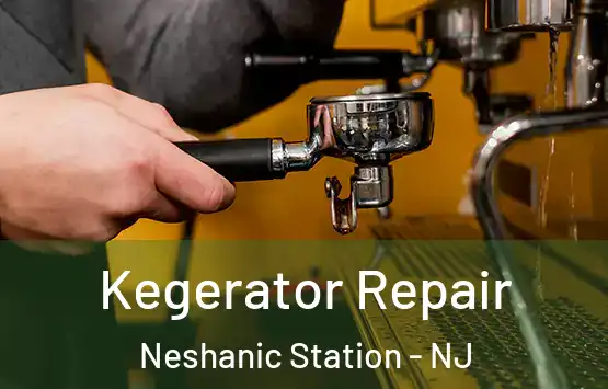  Kegerator Repair Neshanic Station - NJ