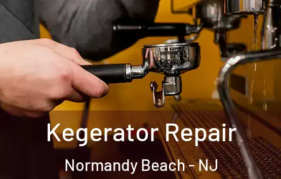  Kegerator Repair Normandy Beach - NJ