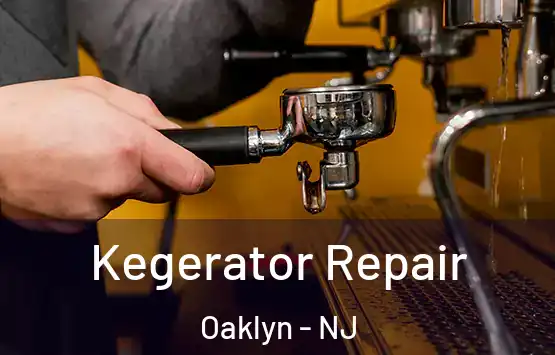  Kegerator Repair Oaklyn - NJ