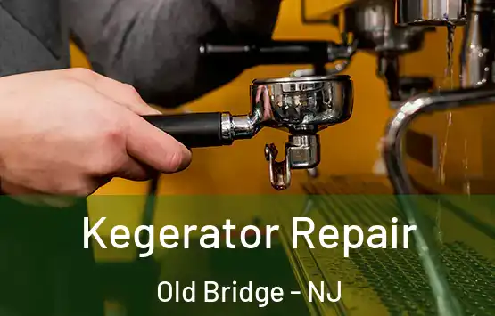  Kegerator Repair Old Bridge - NJ