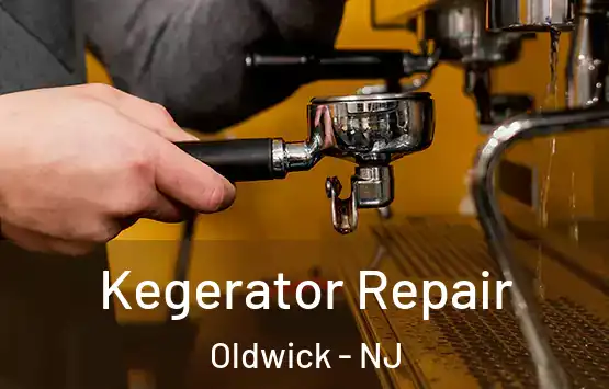  Kegerator Repair Oldwick - NJ