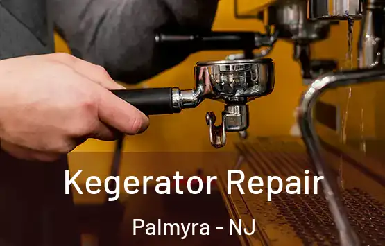  Kegerator Repair Palmyra - NJ