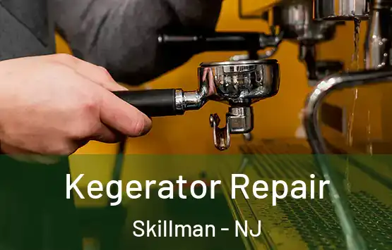  Kegerator Repair Skillman - NJ