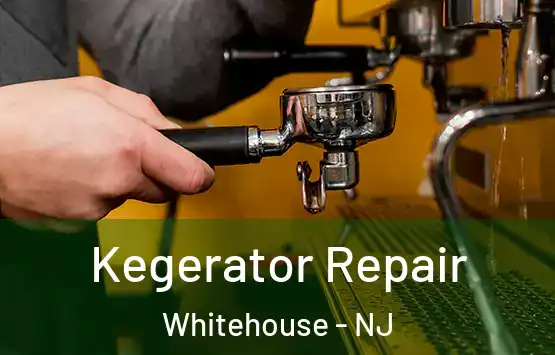  Kegerator Repair Whitehouse - NJ