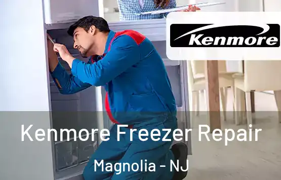 Kenmore Freezer Repair Magnolia - NJ