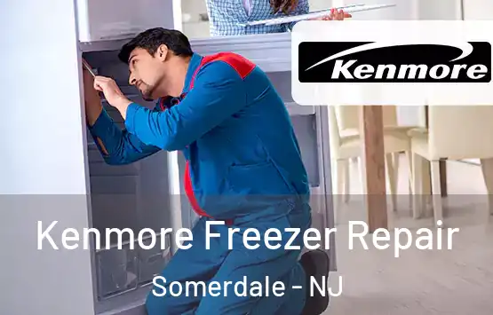  Kenmore Freezer Repair Somerdale - NJ