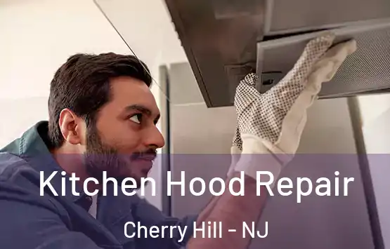  Kitchen Hood Repair Cherry Hill - NJ