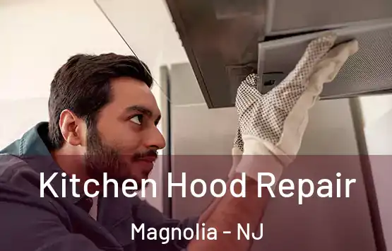  Kitchen Hood Repair Magnolia - NJ