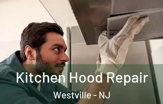  Kitchen Hood Repair Westville - NJ