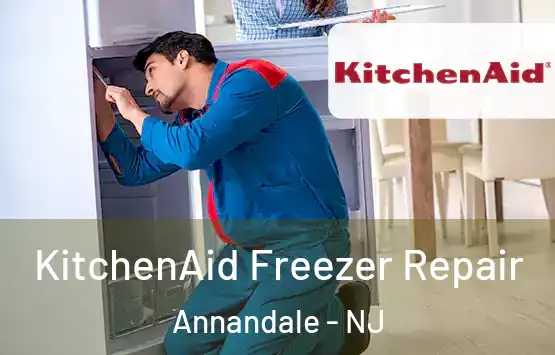  KitchenAid Freezer Repair Annandale - NJ