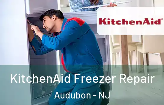 KitchenAid Freezer Repair Audubon - NJ