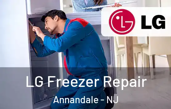  LG Freezer Repair Annandale - NJ