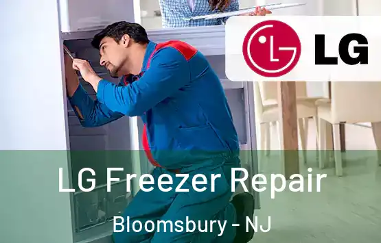  LG Freezer Repair Bloomsbury - NJ