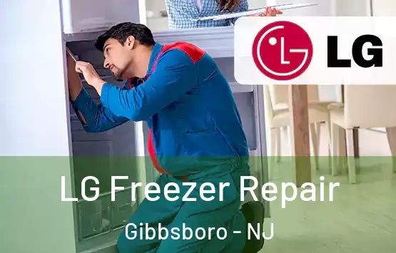  LG Freezer Repair Gibbsboro - NJ