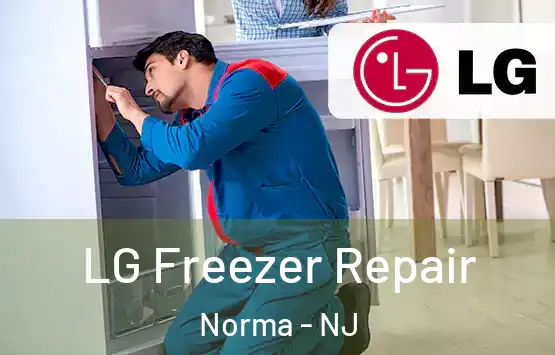  LG Freezer Repair Norma - NJ