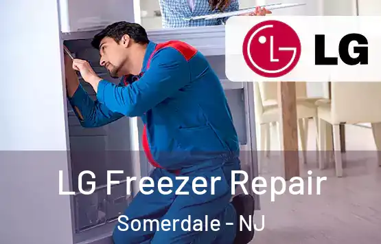  LG Freezer Repair Somerdale - NJ