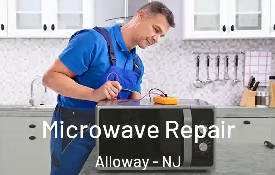  Microwave Repair Alloway - NJ