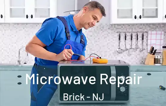  Microwave Repair Brick - NJ
