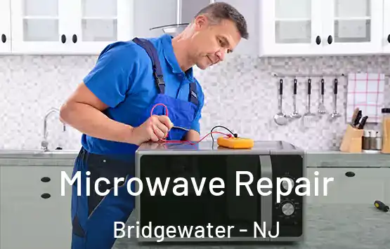 Microwave Repair Bridgewater - NJ