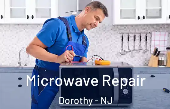  Microwave Repair Dorothy - NJ
