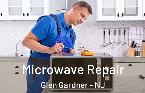  Microwave Repair Glen Gardner - NJ