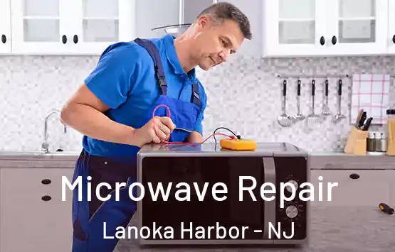  Microwave Repair Lanoka Harbor - NJ