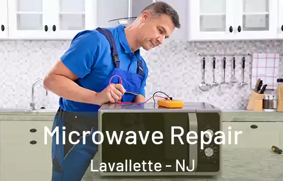  Microwave Repair Lavallette - NJ