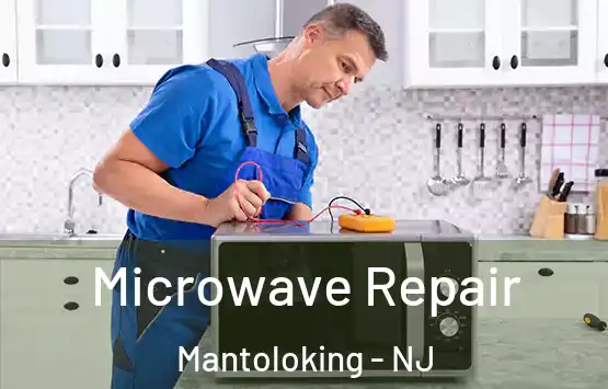  Microwave Repair Mantoloking - NJ