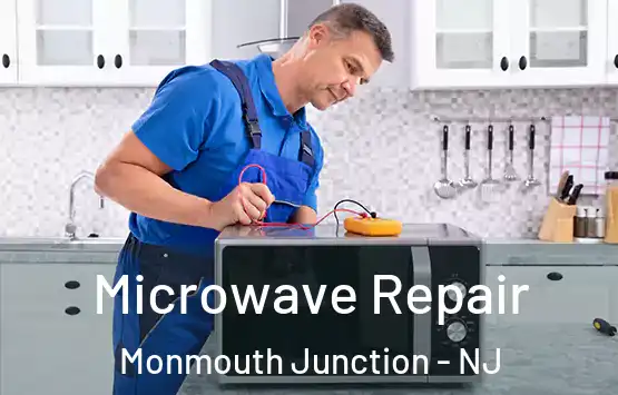  Microwave Repair Monmouth Junction - NJ