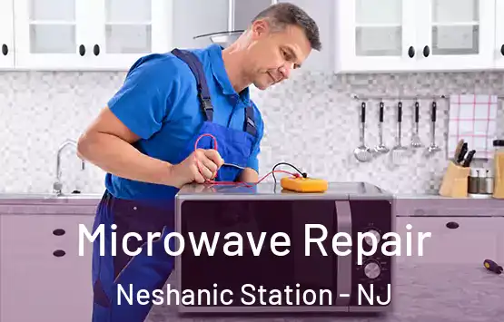  Microwave Repair Neshanic Station - NJ