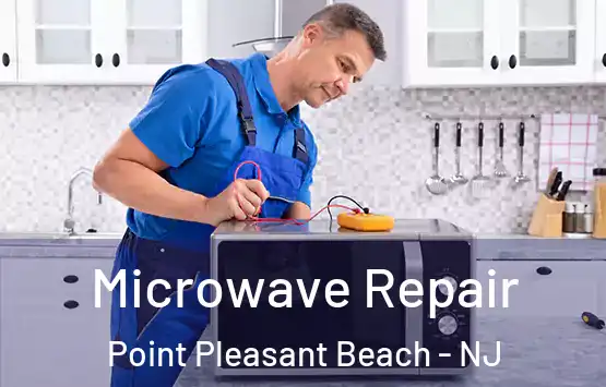  Microwave Repair Point Pleasant Beach - NJ