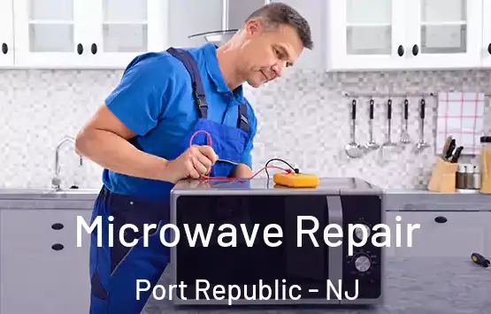  Microwave Repair Port Republic - NJ