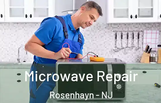  Microwave Repair Rosenhayn - NJ