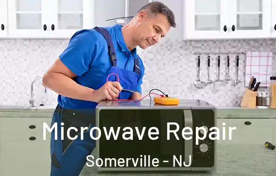  Microwave Repair Somerville - NJ