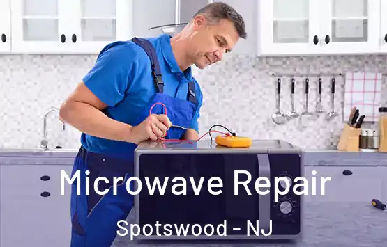  Microwave Repair Spotswood - NJ